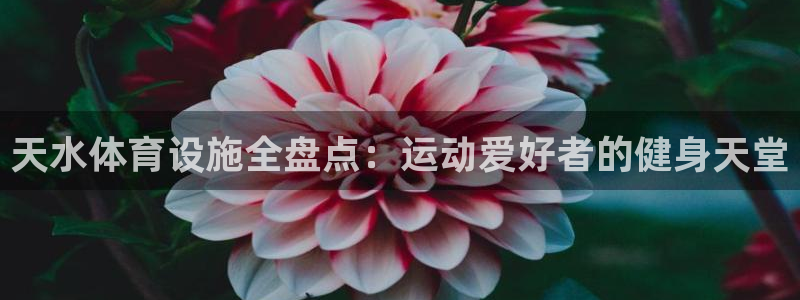 意昂体育3平台是正规平台吗安全吗：天水体育设施全盘点