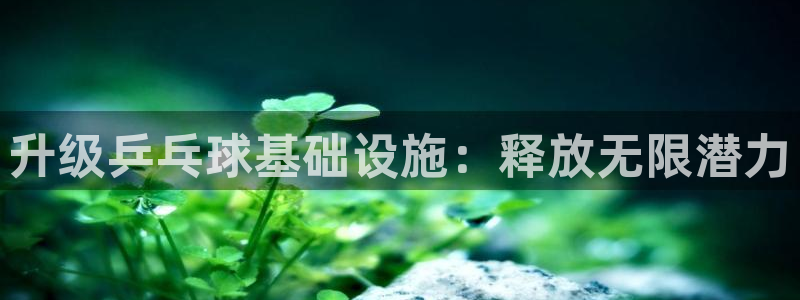 意昂体育3官方客服电话：升级乒乓球基础设施：释放无限