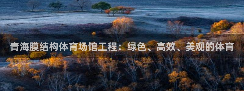 意昂体育3官方客服电话：青海膜结构体育场馆工程：绿色
