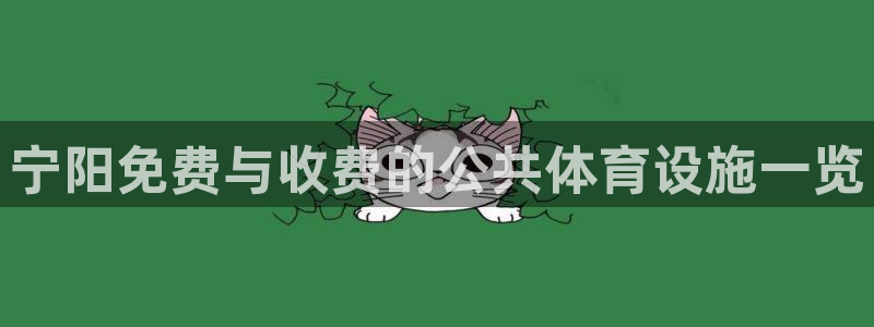意昂体育3平台是正规平台吗：宁阳免费与收费的公共体育