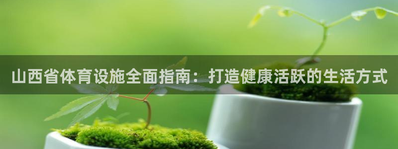 意昂3开户：山西省体育设施全面指南：打造健康活跃的生