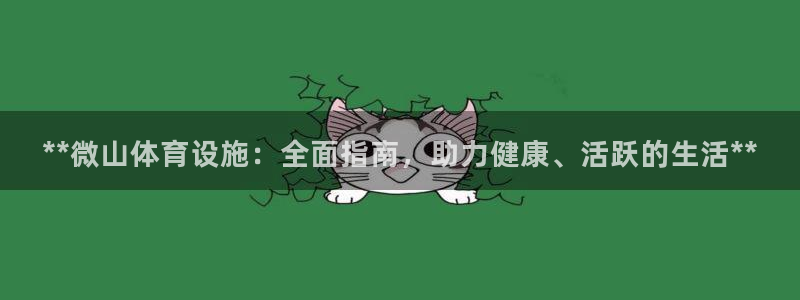 意昂3集团E.ON：**微山体育设施：全面指南，助力
