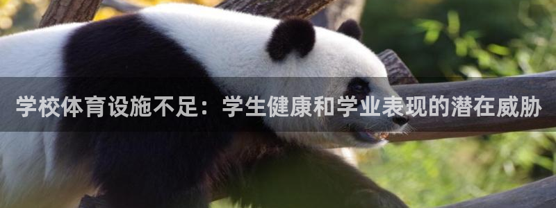 意昂体育3平台：学校体育设施不足：学生健康和学业表现
