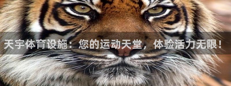 意昂体育3招商电话号码是多少啊：天宇体育设施：您的运