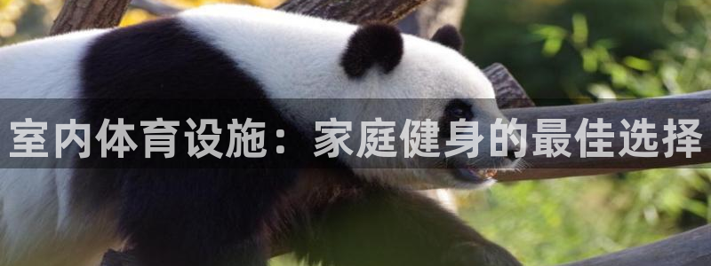 意昂3集团官网首页网址：室内体育设施：家庭健身的最佳