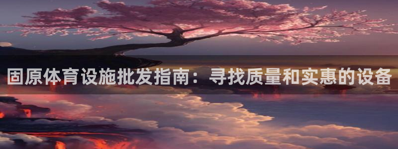 海南意昂体育3发展怎么样：固原体育设施批发指南：寻找
