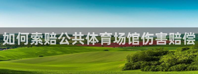 意昂体育3平台注册要钱吗是真的吗：如何索赔公共体育场