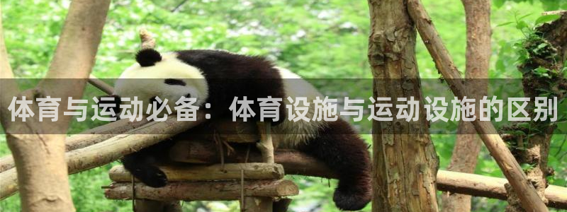 意昂3科技：体育与运动必备：体育设施与运动设施的区别