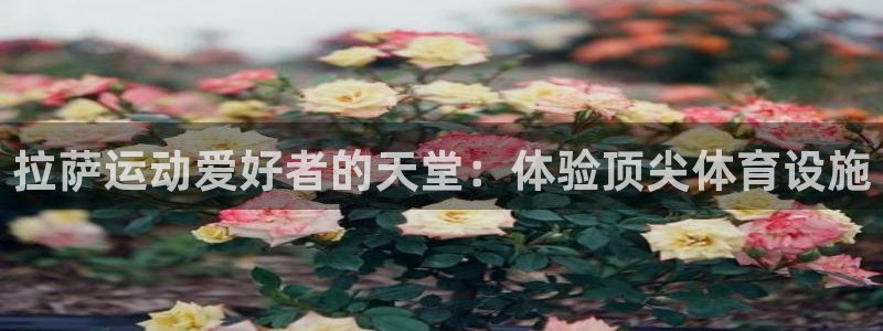 意昂3官网：拉萨运动爱好者的天堂：体验顶尖体育设施