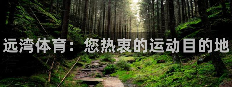 意昂3神州：远湾体育：您热衷的运动目的地