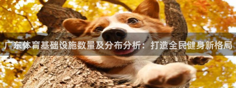 意昂体育3招商电话号码：广东体育基础设施数量及分布分