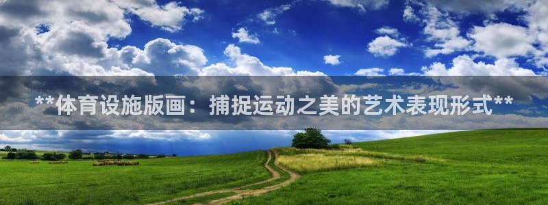 意昂体育3招商电话号码：**体育设施版画：捕捉运动之