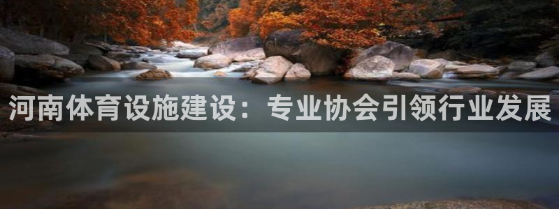 意昂3集团官网网址：河南体育设施建设：专业协会引领行
