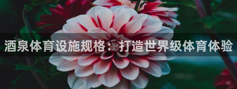 意昂3娱乐首页官网下载：酒泉体育设施规格：打造世界级