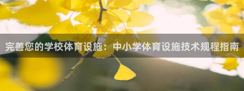 意昂体育3：完善您的学校体育设施：中小学体育设施技术
