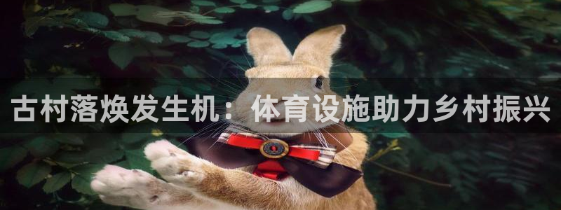 意昂体育3招商电话是多少：古村落焕发生机：体育设施助