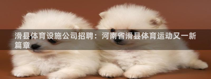 意昂体育3平台假的吗是真的吗吗：滑县体育设施公司招聘
