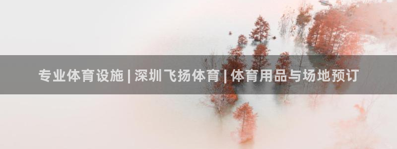 意昂3集团官网网址：专业体育设施 | 深圳飞扬体育 