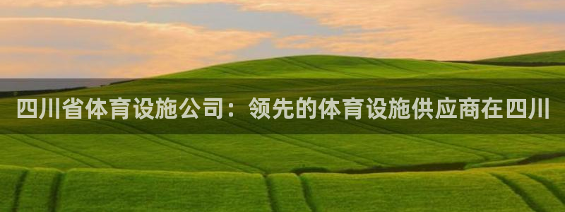 意昂3五金厂：四川省体育设施公司：领先的体育设施供应