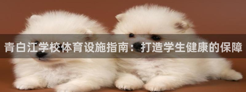 意昂3新能源：青白江学校体育设施指南：打造学生健康的