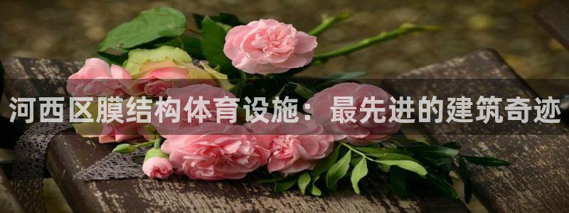 意昂体育3招商：河西区膜结构体育设施：最先进的建筑奇