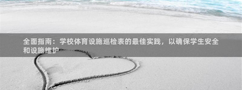 意昂3新能源：全面指南：学校体育设施巡检表的最佳实践