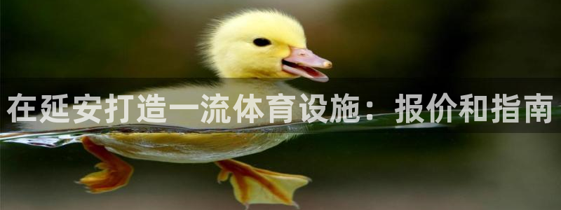 意昂3集团简介：在延安打造一流体育设施：报价和指南