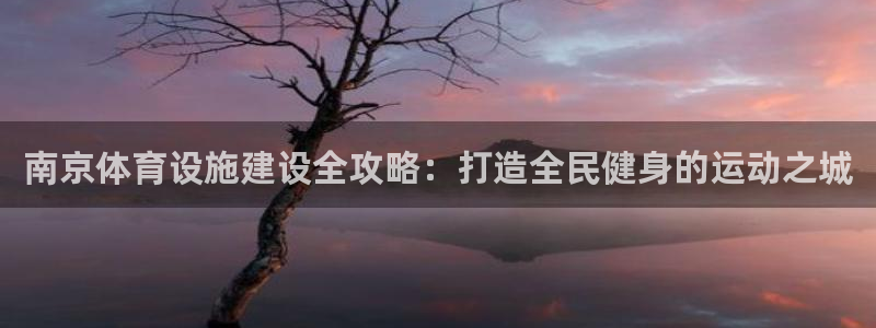 意昂3娱乐：南京体育设施建设全攻略：打造全民健身的运