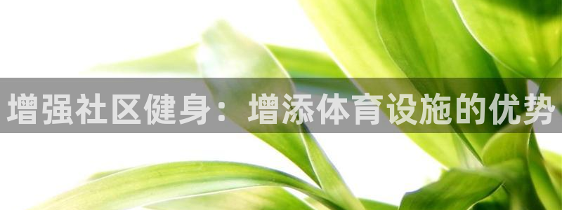 意昂3集团官网首页：增强社区健身：增添体育设施的优势