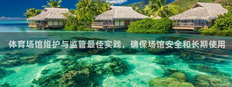 意昂体育3： 体育场馆维护与监管最佳实践，确保场馆安