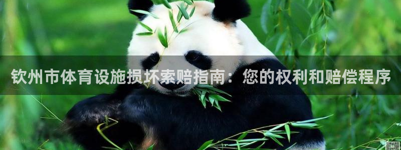 意昂3娱乐平台：钦州市体育设施损坏索赔指南：您的权利