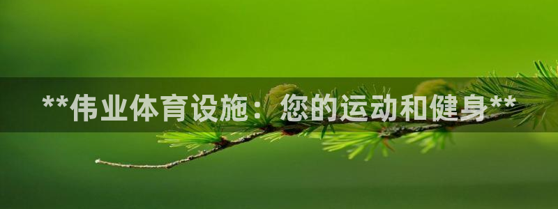 意昂3娱乐平台：**伟业体育设施：您的运动和健身**