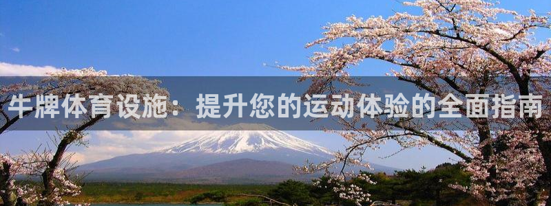 意昂体育3招商电话号码：牛牌体育设施：提升您的运动体