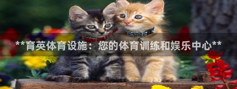 意昂体育3招商电话地址查询：**育英体育设施：您的体