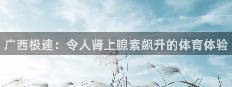 意昂3娱乐首页官网下载：广西极速：令人肾上腺素飙升的