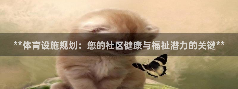 意昂体育3是干嘛的公司：**体育设施规划：您的社区健