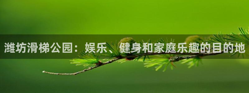 意昂3集团：潍坊滑梯公园：娱乐、健身和家庭乐趣的目的