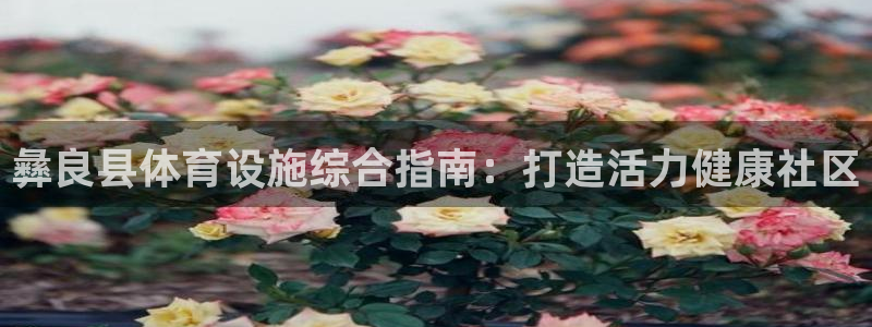 意昂体育3平台是正规平台吗安全吗：彝良县体育设施综合