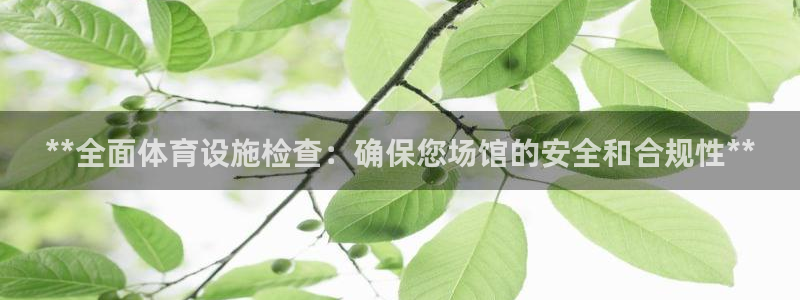意昂3集团官网首页：**全面体育设施检查：确保您场馆
