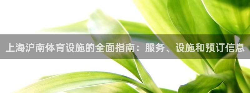 意昂体育3平台假的吗是真的吗吗：上海沪南体育设施的全