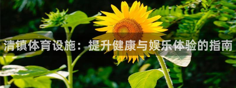 意昂体育3是干嘛的公司：清镇体育设施：提升健康与娱乐