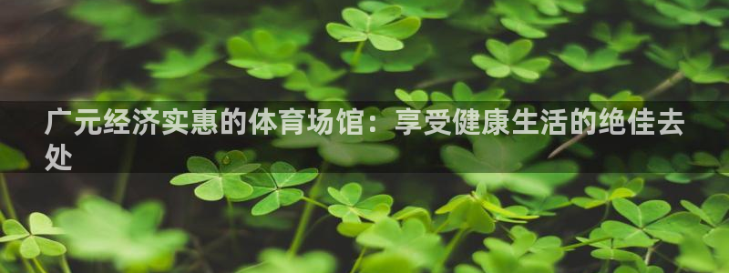 海南意昂体育3