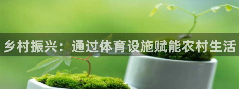意昂3娱乐代理怎么样：乡村振兴：通过体育设施赋能农村