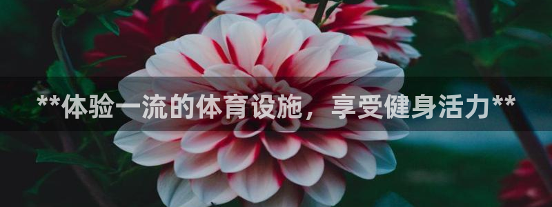 意昂3神州：**体验一流的体育设施，享受健身活力**