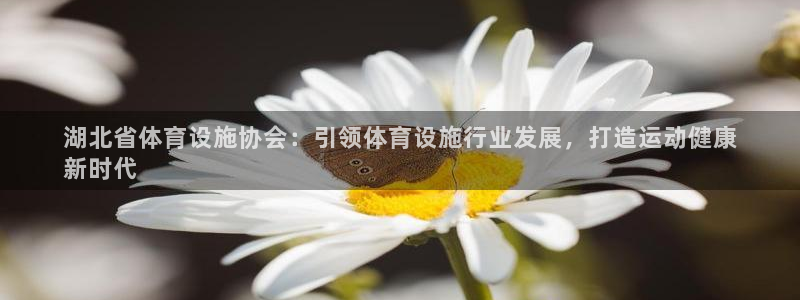 意昂体育3招商电话地址查询：湖北省体育设施协会：引领