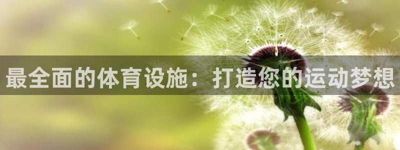 海南意昂体育3：最全面的体育设施：打造您的运动梦想