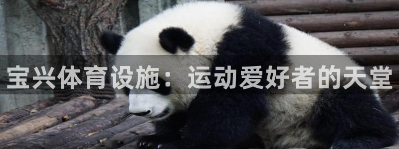 意昂3五金厂：宝兴体育设施：运动爱好者的天堂