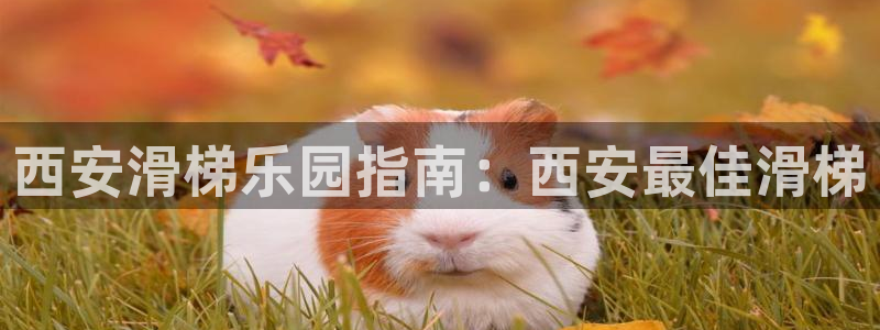意昂体育3平台注册要钱吗是真的吗：西安滑梯乐园指南：
