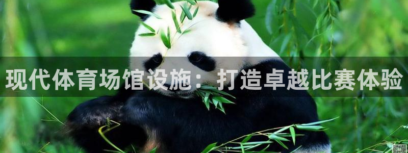 意昂3娱乐40996：现代体育场馆设施：打造卓越比赛