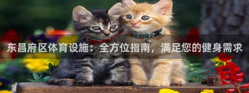 意昂体育3招商电话地址：东昌府区体育设施：全方位指南
